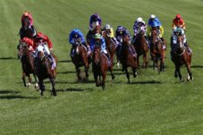 Betting masterclass