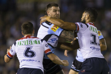 nrl bets predictions