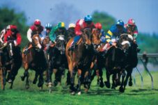 Australian horse racing betting sites