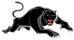Penrith Panthers