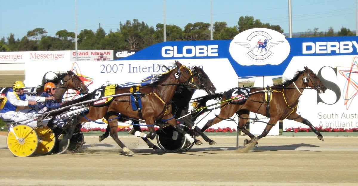 Pacers racing at the 2007 Inter Dominion Championship at Globe Derby Park