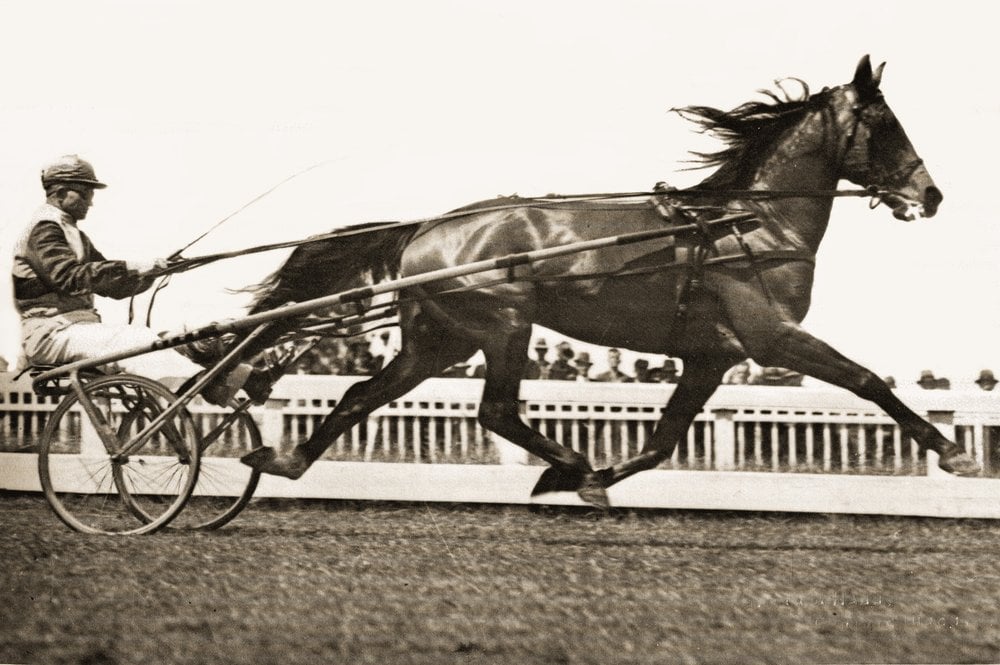 Australian pacer Lawn Derby in full flight around 1934